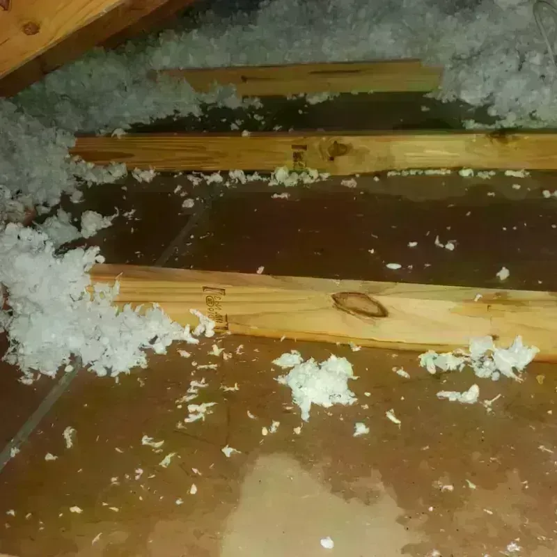 Attic Water Damage in Rapids, NY